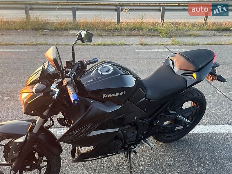 Фото Kawasaki 250 з оголошення AUTO.RIA