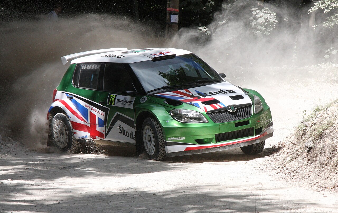 Фото SKODA FABIA 2010