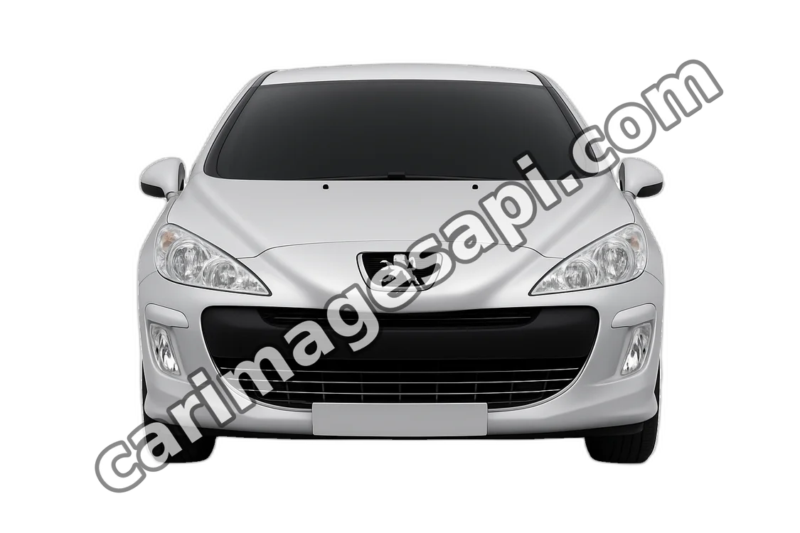 Фото PEUGEOT 308 2009