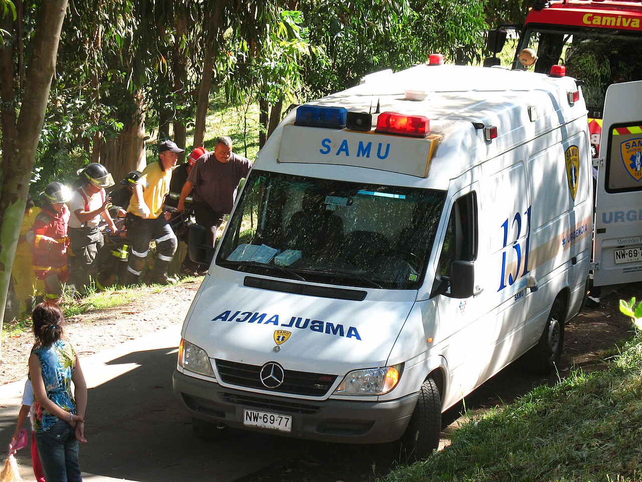 Фото MERCEDES-BENZ SPRINTER 313 CDI 2007