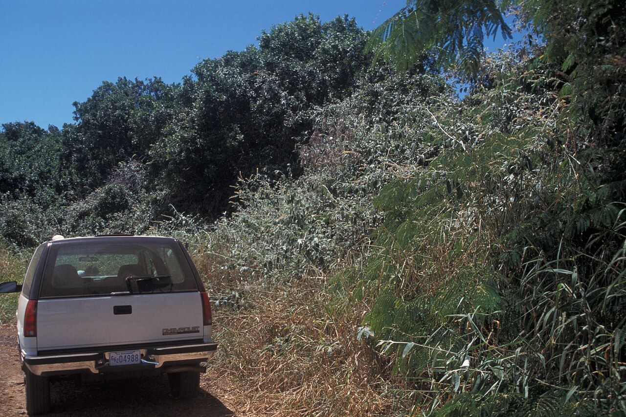 Фото CHEVROLET TAHOE 2000