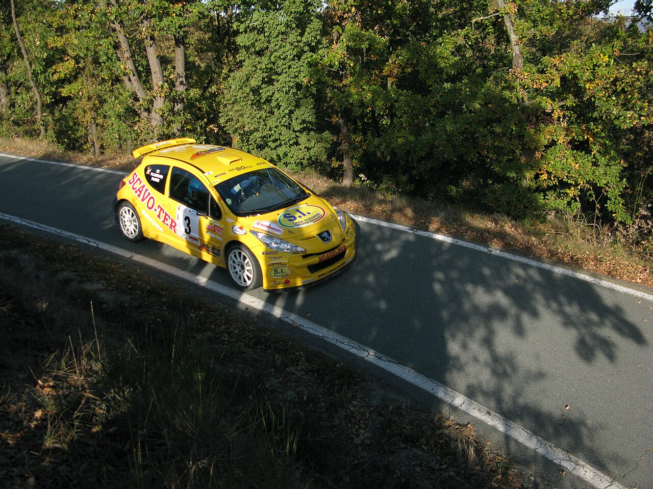 Фото PEUGEOT 207 2008