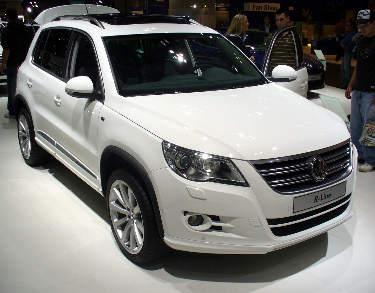 Фото VOLKSWAGEN TIGUAN 2009