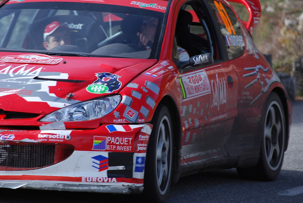 Фото PEUGEOT 206 2008