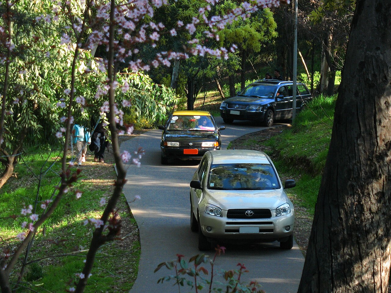 Фото TOYOTA RAV4 2007