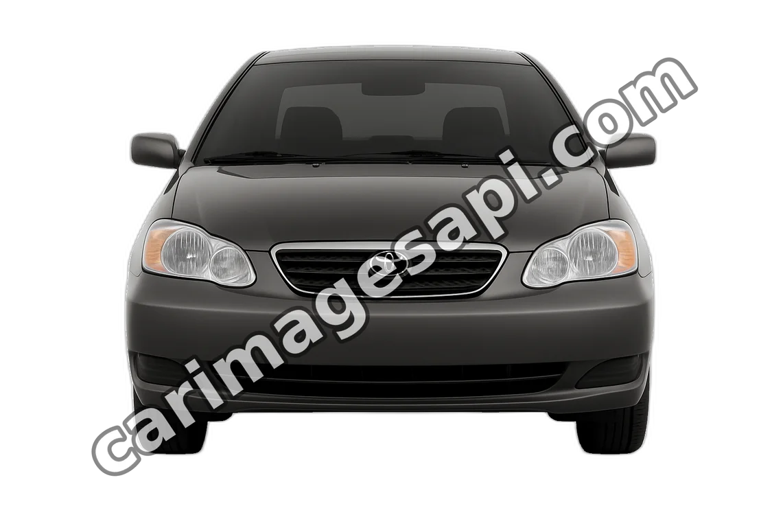 Фото TOYOTA COROLLA 2008